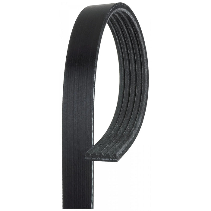 Faja unica de accesorios 5PK1260