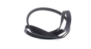 Faja unica de accesorios 6PK2085