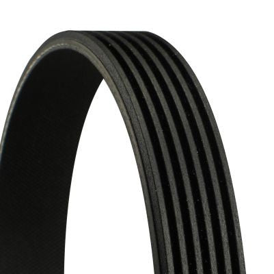 Faja unica de accesorios 6PK2575