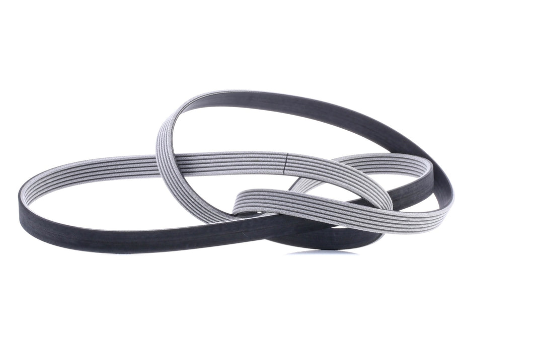 Faja unica de accesorios 6PK2195