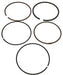 Anillos de Pistón 0.50