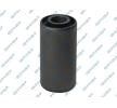 Bushing de resorte delantero