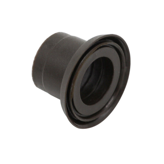 Bushing de tijereta delantero inferior