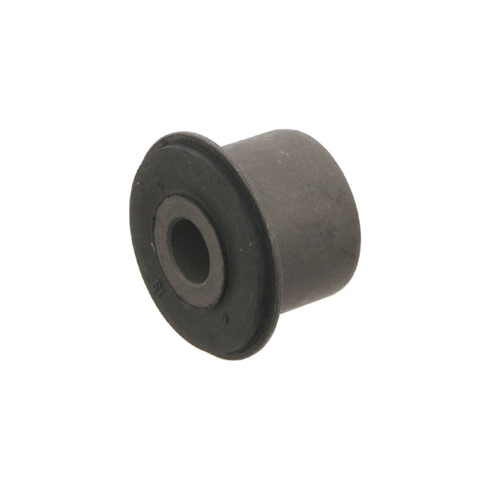 Bushing de tijereta delantero inferior punta