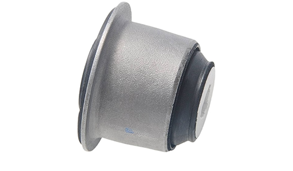Bushing de tijereta delantero inferior