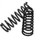 Espiral de compensador delantero
