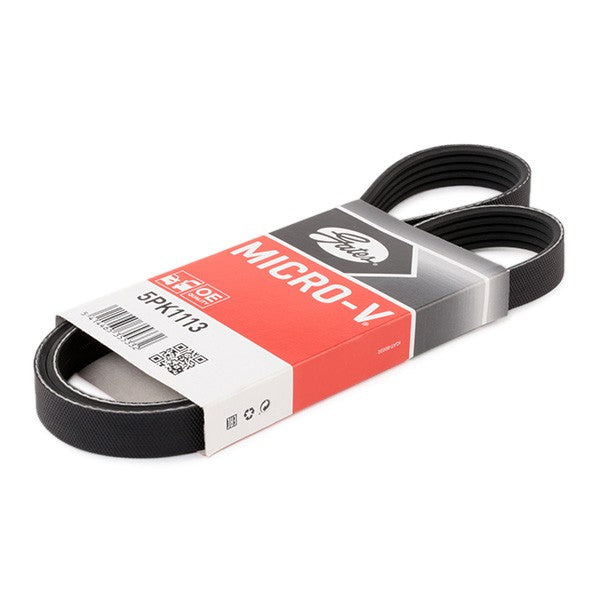 Faja Única de Accesorios