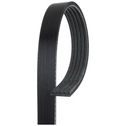 Faja única de accesorios