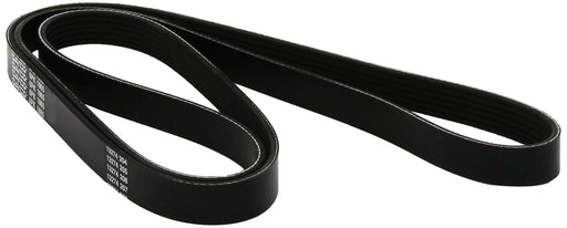 Faja única de accesorios