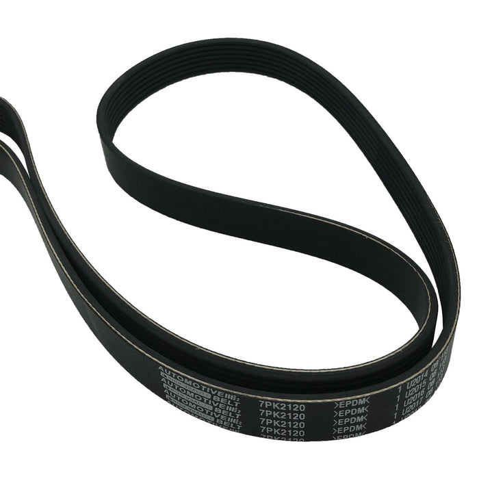 Faja Única De Accesorios