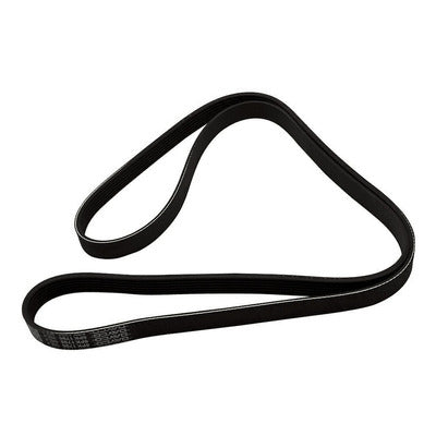Faja Única De Accesorios
