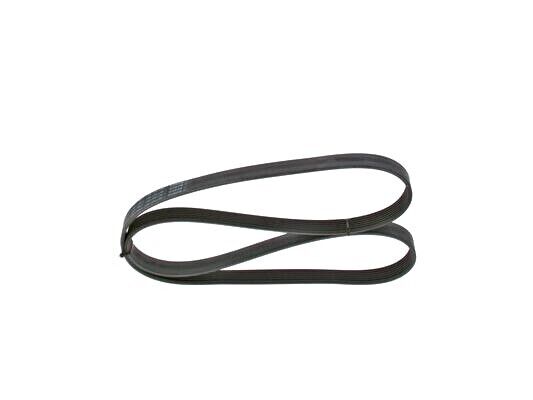 Faja Única de Accesorios