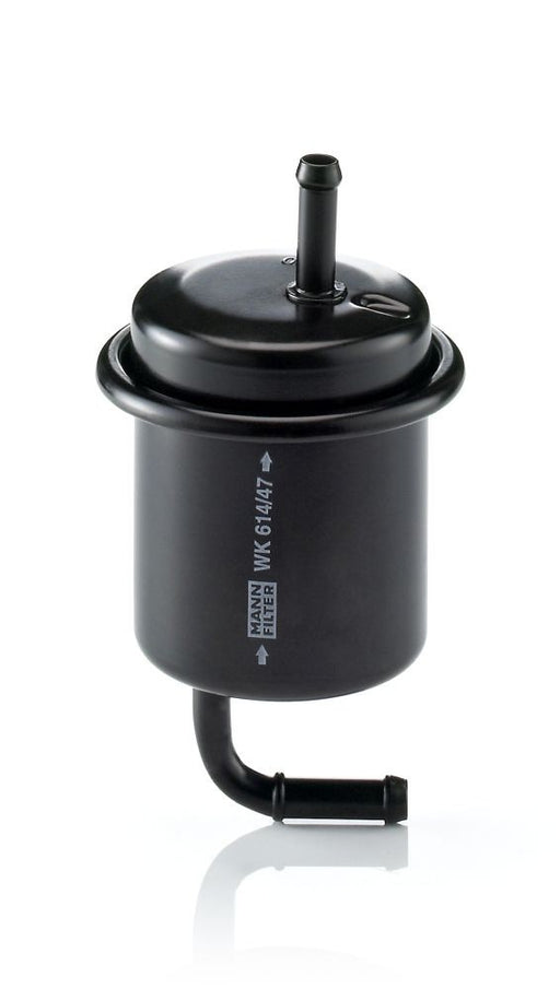 Filtro de gasolina