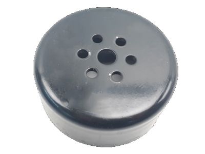 Polea de bomba de agua